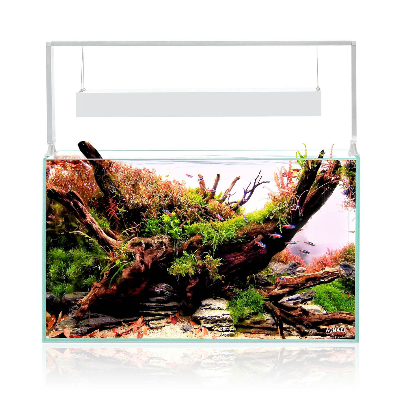 Acuario Aquael ULTRASCAPE  SET DIAMOND SNOW 60
