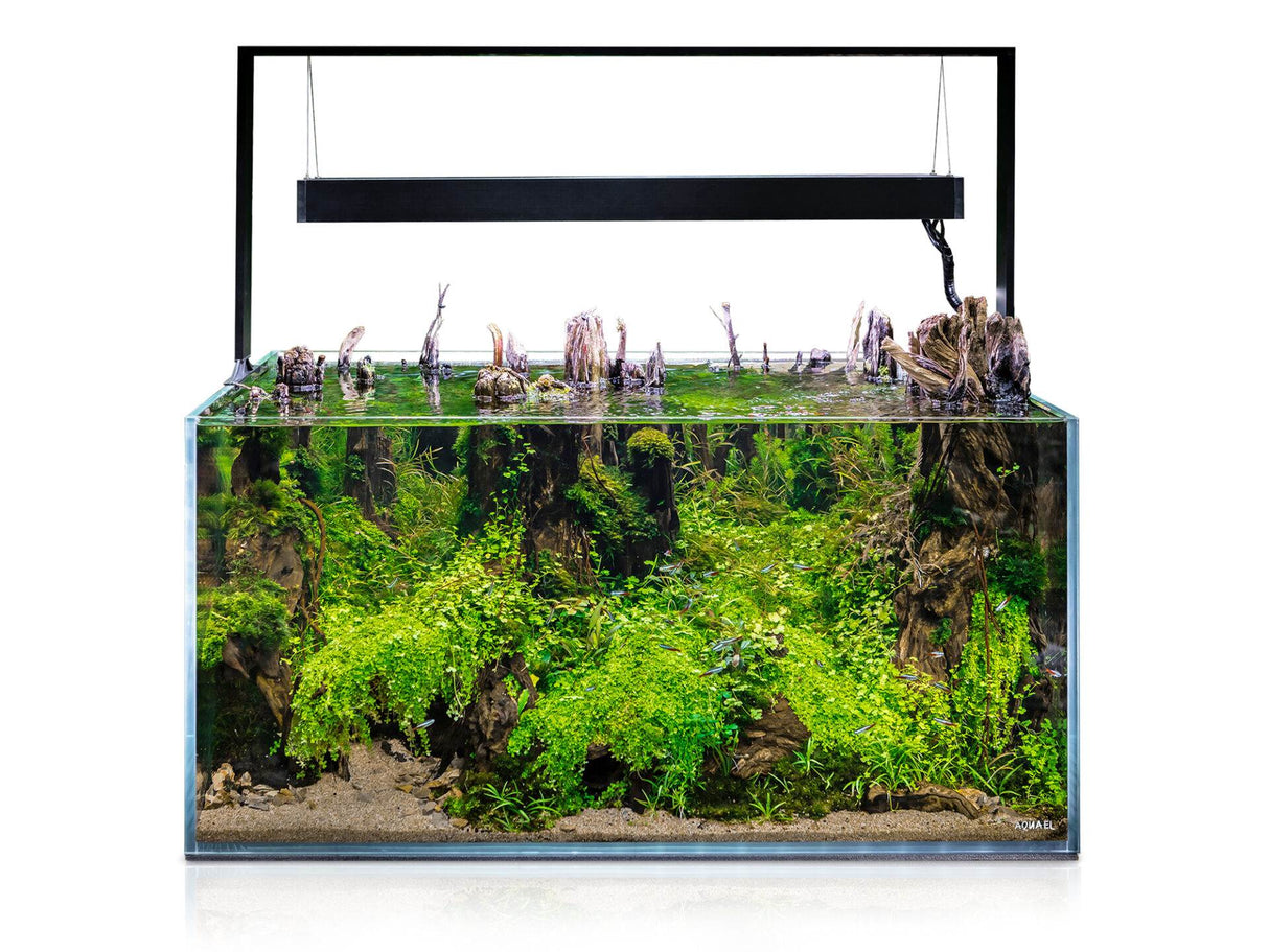 Acuario Aquael ULTRASCAPE FOREST 90