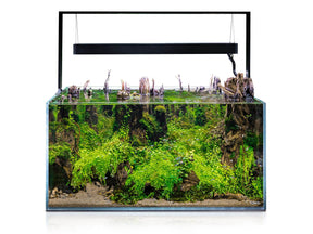 Acuario Aquael ULTRASCAPE FOREST 90