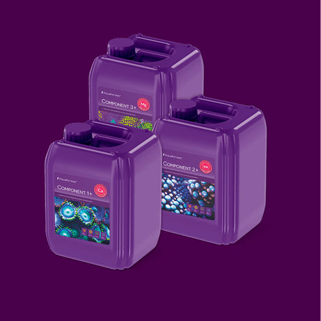Component 1+2+3+