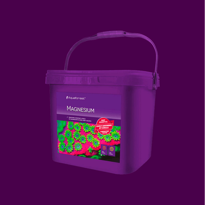 Magnesium envase de 4 kg.