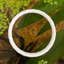 Aro flotante para plantas de acuario blanco