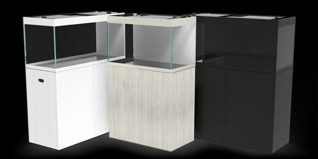 Colores de los modelos de acuario Waterbox Eden con su mesa