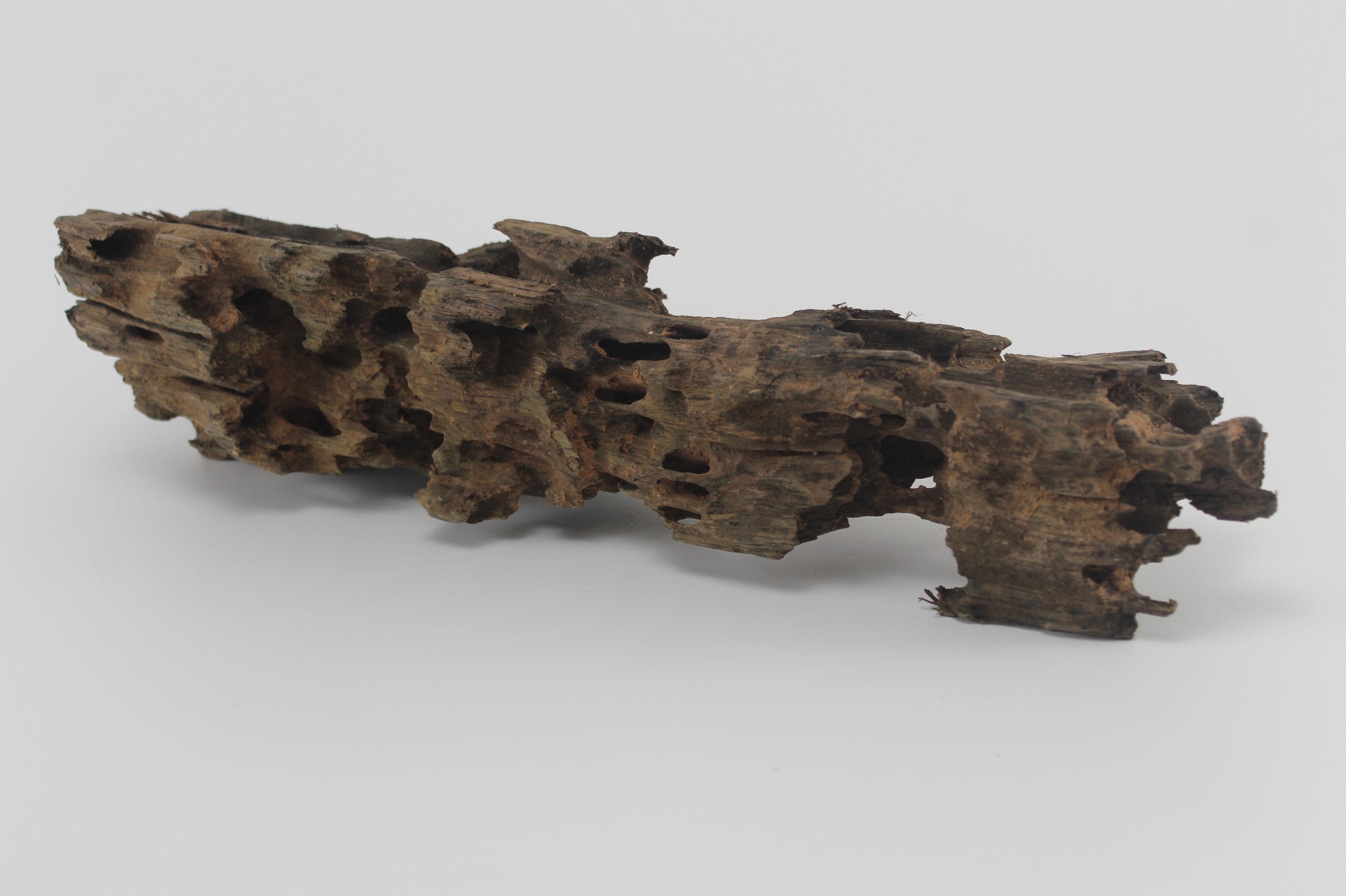 madera dragon wood para acuarios
