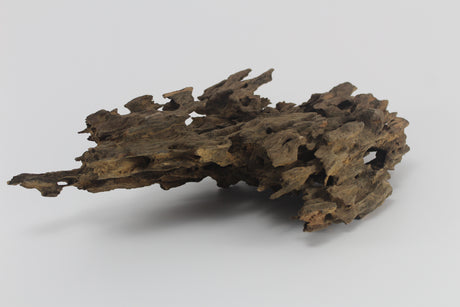 Dragon Wood para acuario