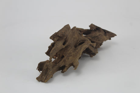 Dragon wood para acuario