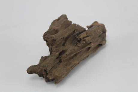 Dragon wood para acuario