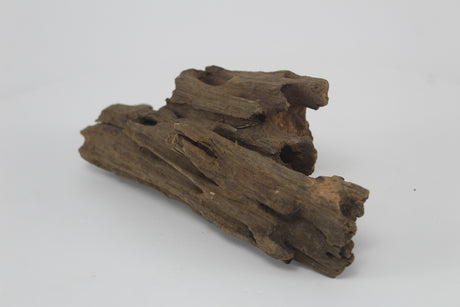 Dragon wood para acuario