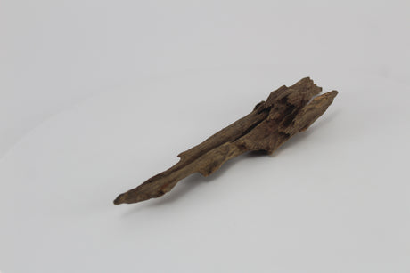 Dragon wood para acuario