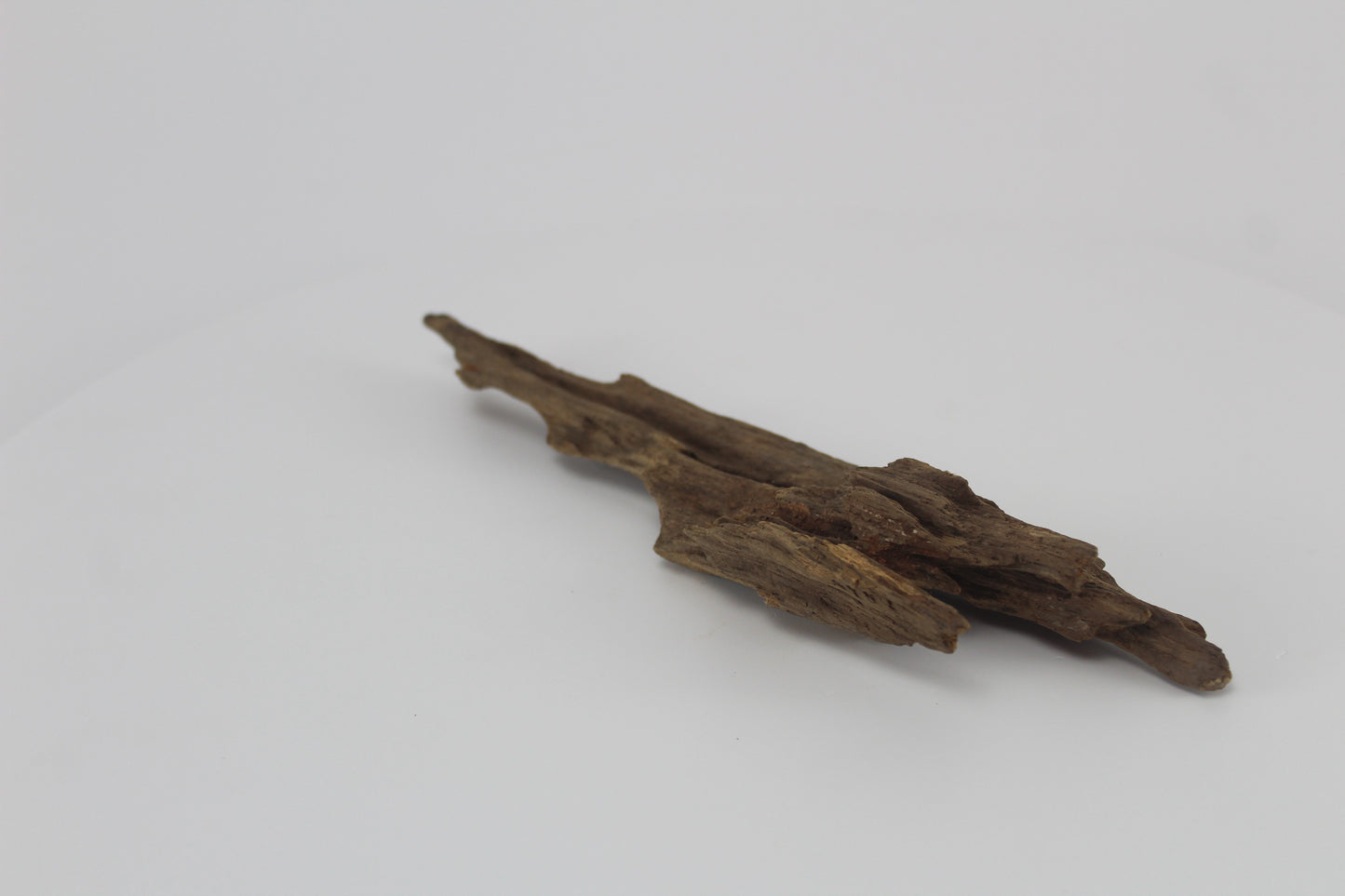 Dragon wood para acuario