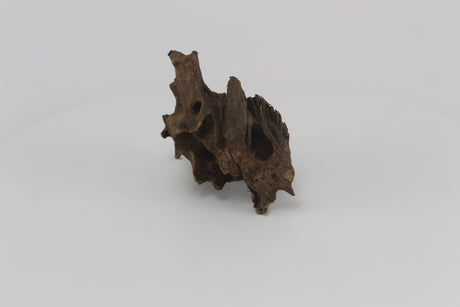 Dragon wood para acuario