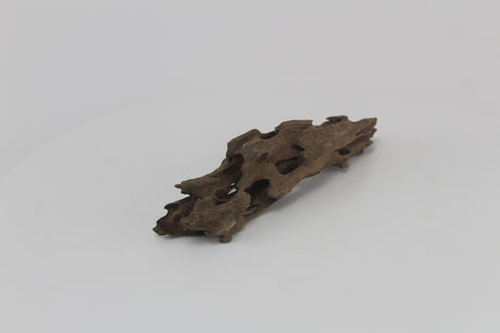 Dragon wood para acuario