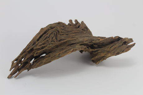 Dragon Wood para acuario