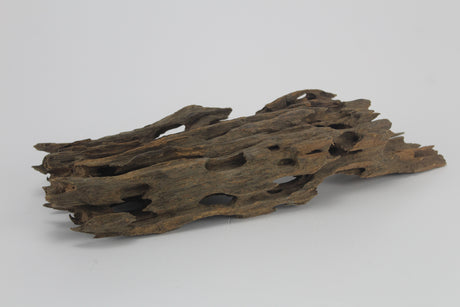 Dragon Wood para acuario