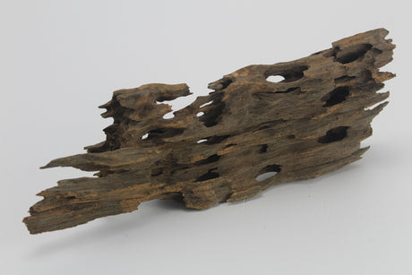 Dragon Wood para acuario