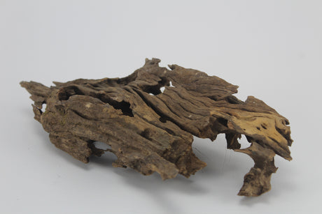 Dragon Wood para acuario