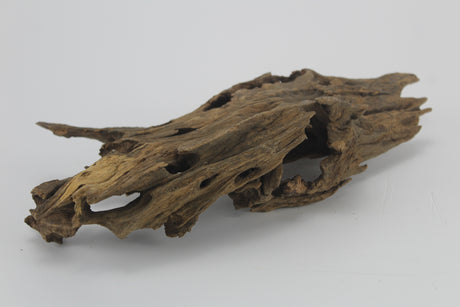 Dragon Wood para acuario