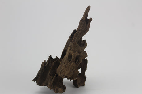 Dragon Wood para acuario