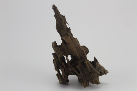 Dragon Wood para acuario