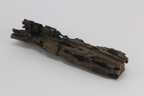 Dragon Wood para acuario