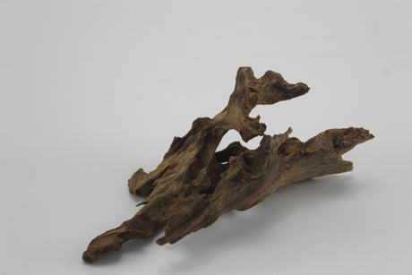 Dragon Wood para acuario