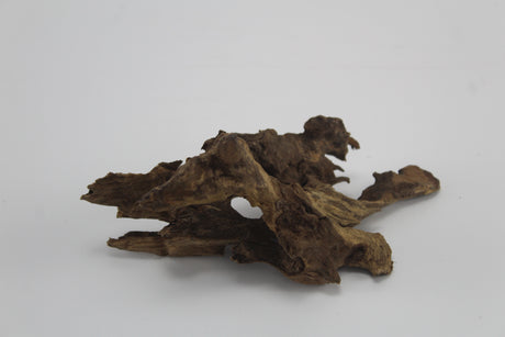 Dragon Wood para acuario