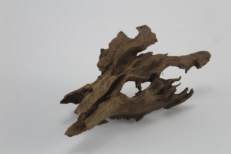 Dragon Wood para acuario