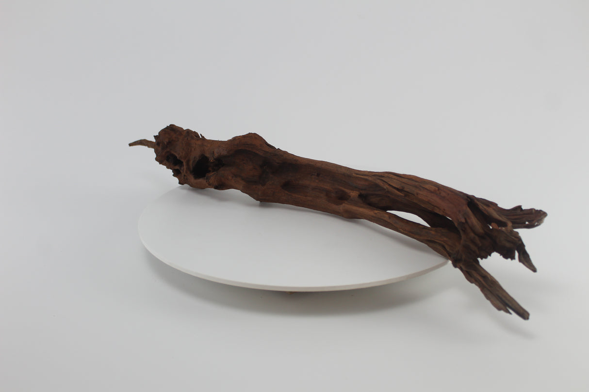 tronco drift wood para acuario