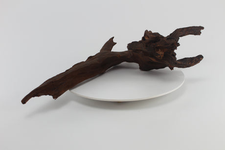 tronco drift wood para acuario