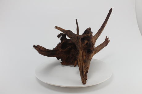 tronco drift wood para acuario