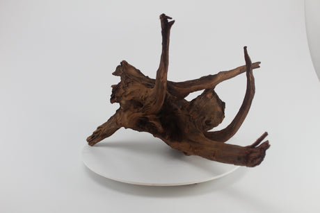 tronco drift wood para acuario