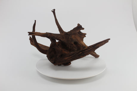 tronco drift wood para acuario