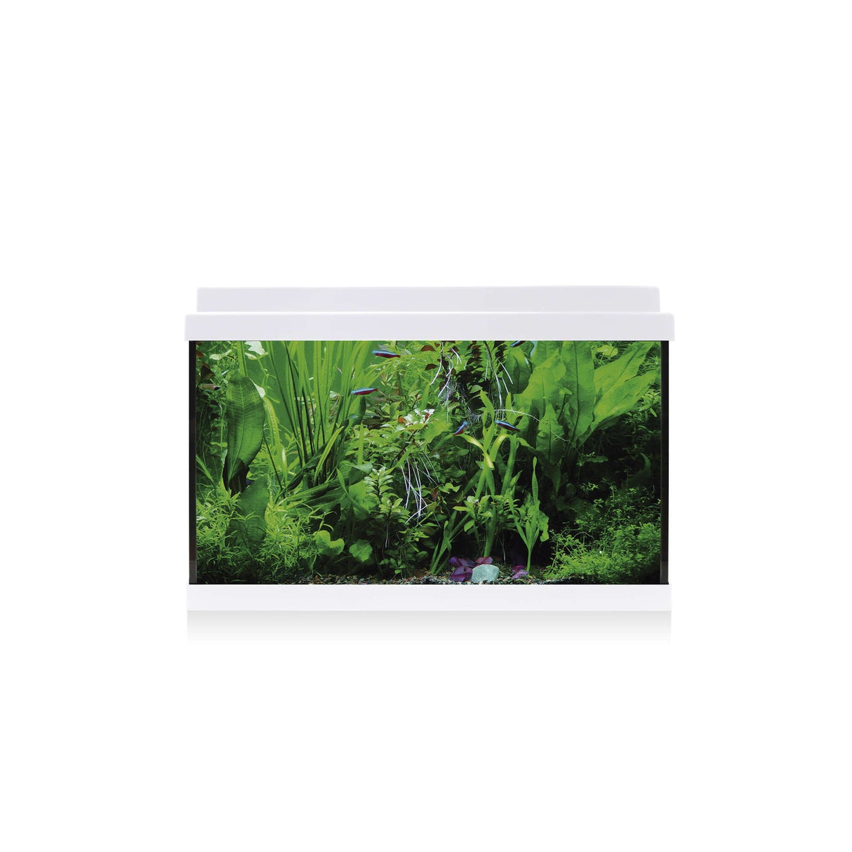 acuario aqua led 33 llitros blanco 