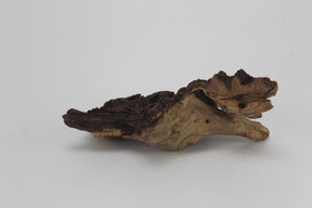 Tronco Mopani para acuario