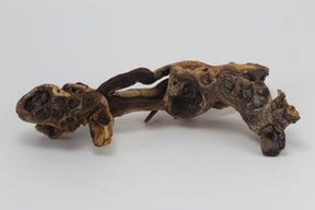 Tronco Mopani para acuario