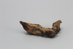 Tronco Mopani para acuario