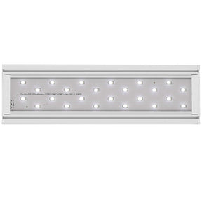 Vista de los leds de la Pantalla Aqualed Génesis luz blanca en color blanco.