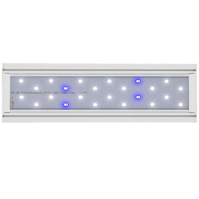 Vista de los leds de la Pantalla Aqualed Génesis luz azul y blanca en color blanco.