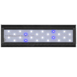 Vista de los leds de la Pantalla Aqualed Génesis luz azul y blanca en color negro