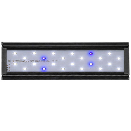 Vista de los leds de la Pantalla Aqualed Génesis luz azul y blanca en color negro