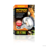 Foco de calor Exo Terra Intense Basking Spot