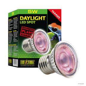 Bombilla Exo Terra Daylight LED Spot Nano - 5W