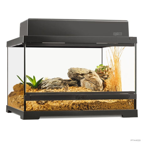 Pro Terrarium de Cristal Exo Terra Pequeño 45x45cm