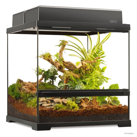 Pro Terrarium de Cristal Exo Terra Pequeño 45x45cm