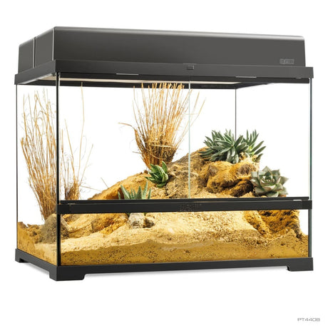 Pro Terrarium de Cristal Exo Terra Mediano 60x45cm