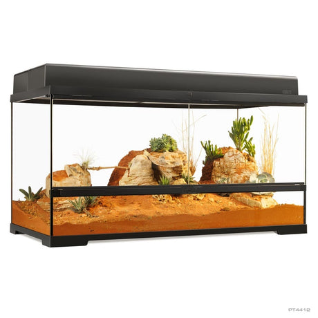 Pro Terrarium de Cristal Exo Terra Grande 90x45cm