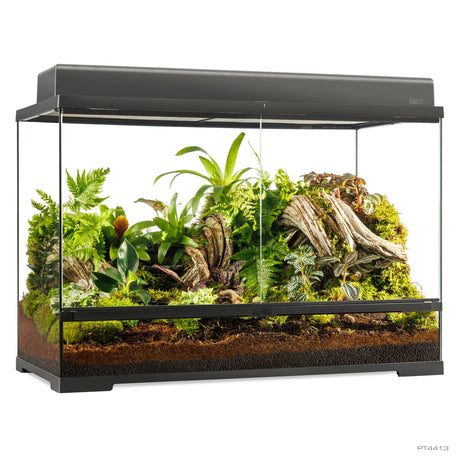Pro Terrarium de Cristal Exo Terra Grande 90x45cm