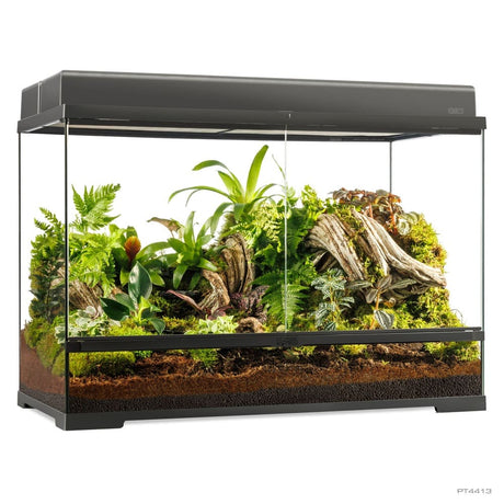 Pro Terrarium de Cristal Exo Terra Grande 90x45cm