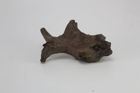 Tronco Sam Wood para acuario