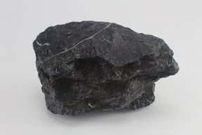 Seiryu Black para acuario